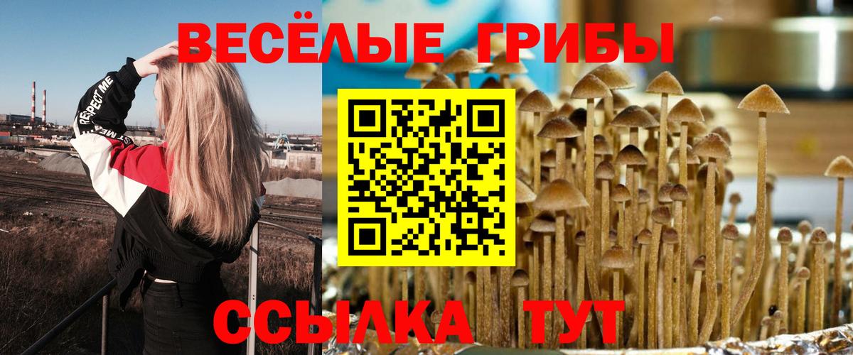 Псилоцибиновые грибы мицелий  Вход с VPN  Кропоткин 